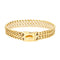 Double Row Six-Sided Polished Gold Dog Chain Stainless Steel Metal Chain Pet Dog Collar
